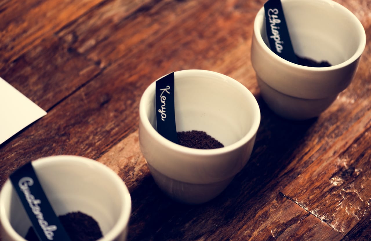 Why Your Expensive Coffee Tastes Bitter and How to Fix It Today